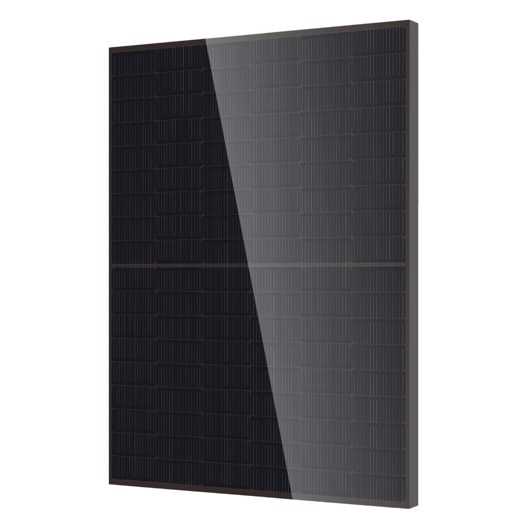 DMEGC 450Wp glas/glas full black zonnepaneel